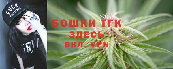 прущие крисы Белоозёрский