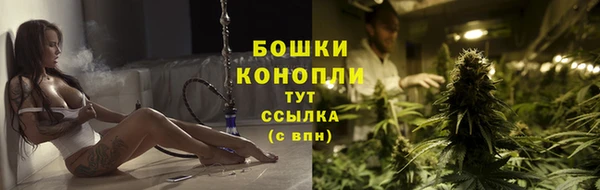 гидра Богданович