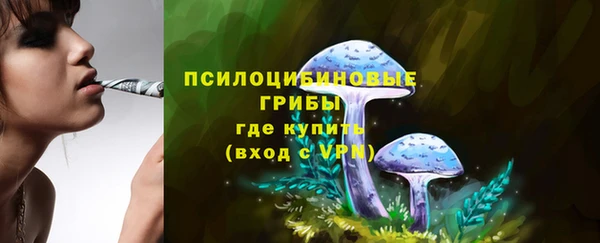 прущий лед Белокуриха