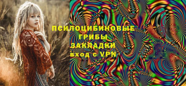 прущий лед Белокуриха