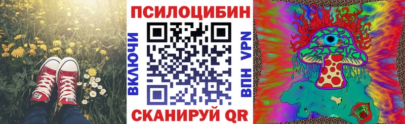 мориарти Telegram Рязань Галлюциногенные грибы мицелий